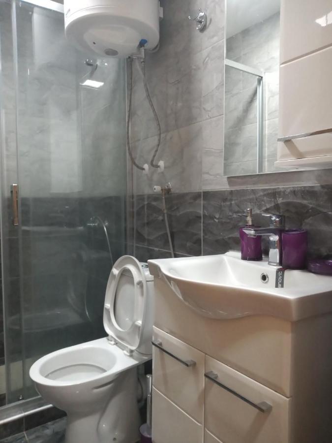 Lela Appartement Josanicka Banja Buitenkant foto